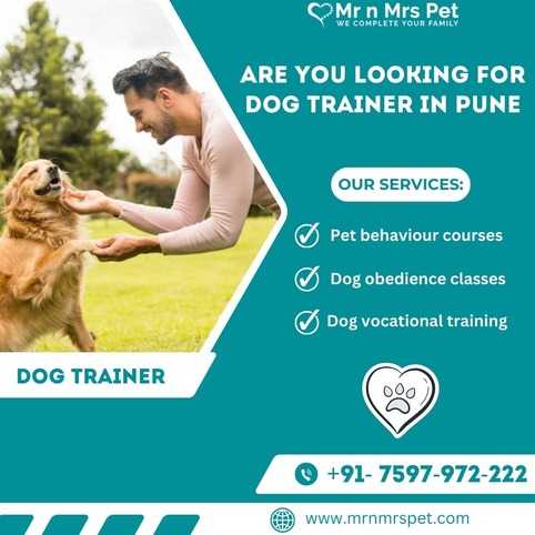 Best Dog Trainer in Pune at Affordable Price